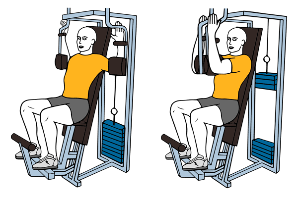 Adaptació Anatòmica Dia 1 Entrenamientos Y Ejercicios 8350